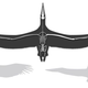 Imagen para el artículo titulado El ave más grande de la historia fue tan grande como un avión